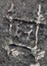 IMG_256